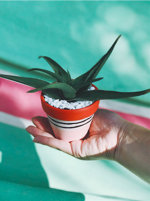 DIY Modern Pots